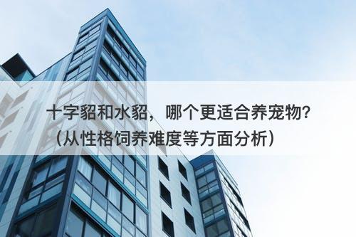 十字貂和水貂，哪个更适合养宠物？（从性格饲养难度等方面分析）