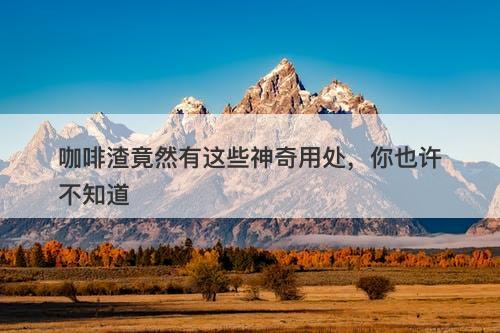 咖啡渣竟然有这些神奇用处，你也许不知道
