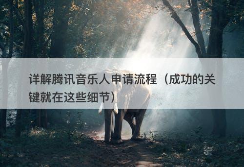 详解腾讯音乐人申请流程（成功的关键就在这些细节）