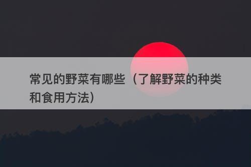 常见的野菜有哪些（了解野菜的种类和食用方法）