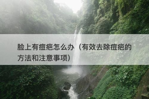 脸上有痘疤怎么办（有效去除痘疤的方法和注意事项）