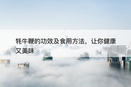 牦牛鞭的功效及食用方法，让你健康又美味