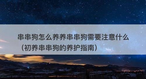 串串狗怎么养养串串狗需要注意什么（初养串串狗的养护指南）