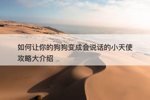 如何让你的狗狗变成会说话的小天使攻略大介绍