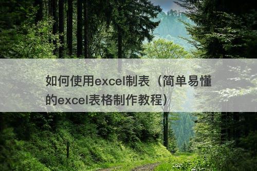 如何使用excel制表（简单易懂的excel表格制作教程）