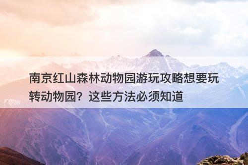 南京红山森林动物园游玩攻略想要玩转动物园？这些方法必须知道