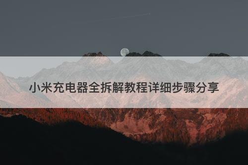 小米充电器全拆解教程详细步骤分享