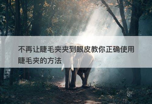 不再让睫毛夹夹到眼皮教你正确使用睫毛夹的方法