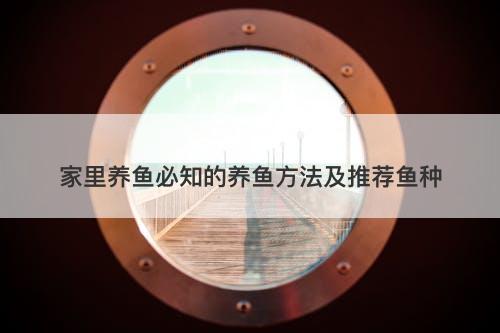 家里养鱼必知的养鱼方法及推荐鱼种