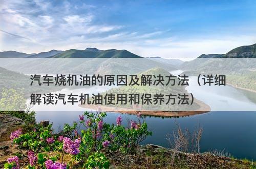 汽车烧机油的原因及解决方法（详细解读汽车机油使用和保养方法）