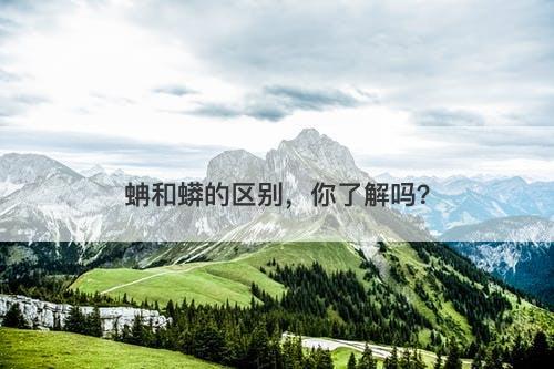 蚺和蟒的区别，你了解吗？