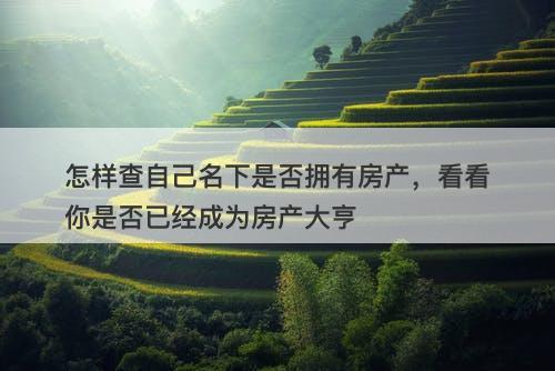 怎样查自己名下是否拥有房产，看看你是否已经成为房产大亨