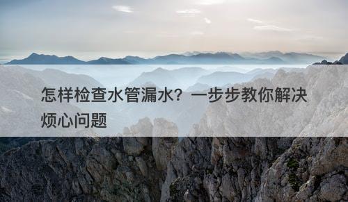 怎样检查水管漏水？一步步教你解决烦心问题