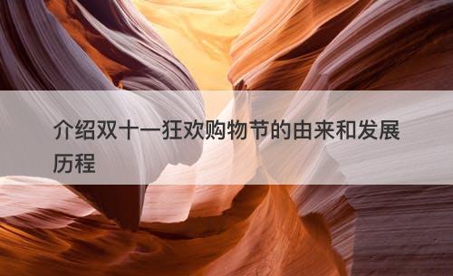 介绍双十一狂欢购物节的由来和发展历程