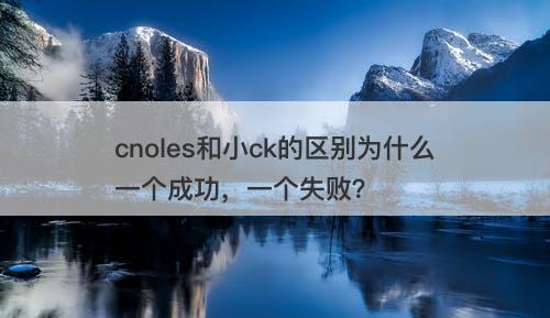 cnoles和小ck的区别为什么一个成功，一个失败？