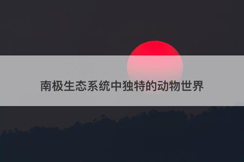 南极生态系统中独特的动物世界