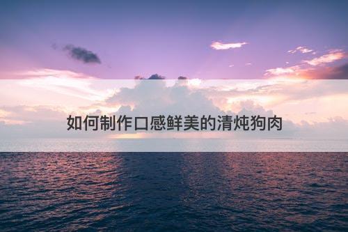 如何制作口感鲜美的清炖狗肉