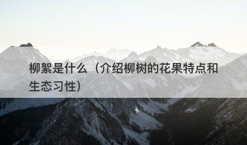 柳絮是什么（介绍柳树的花果特点和生态习性）