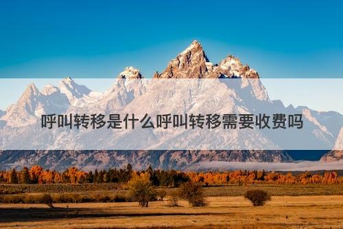 呼叫转移是什么呼叫转移需要收费吗