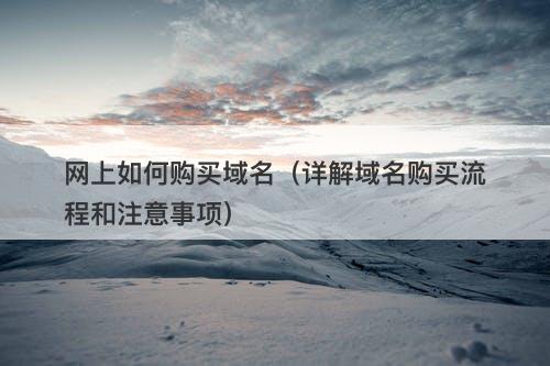 网上如何购买域名（详解域名购买流程和注意事项）