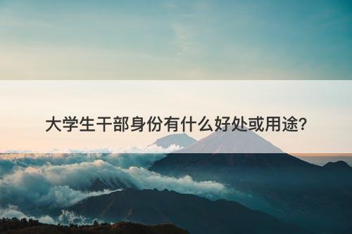 大学生干部身份有什么好处或用途？