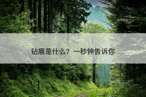 钻展是什么？一秒钟告诉你