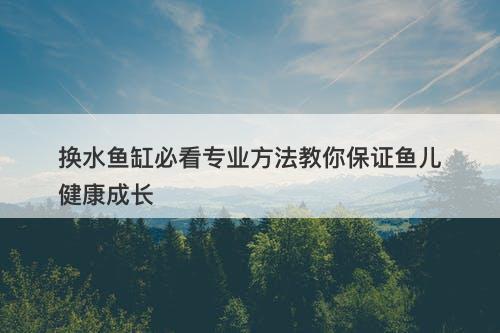 换水鱼缸必看专业方法教你保证鱼儿健康成长