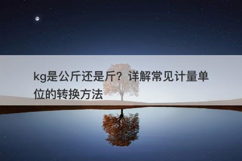 kg是公斤还是斤？详解常见计量单位的转换方法