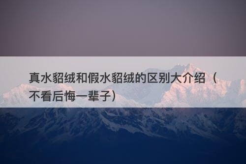 真水貂绒和假水貂绒的区别大介绍（不看后悔一辈子）