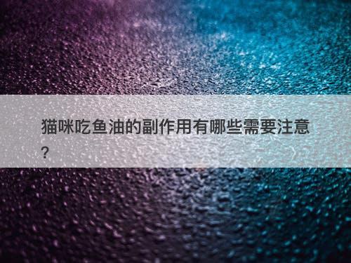 猫咪吃鱼油的副作用有哪些需要注意？