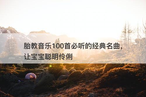 胎教音乐100首必听的经典名曲，让宝宝聪明伶俐
