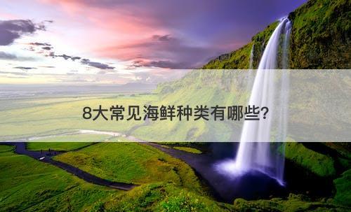 8大常见海鲜种类有哪些？