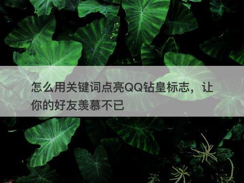 怎么用关键词点亮QQ钻皇标志，让你的好友羡慕不已
