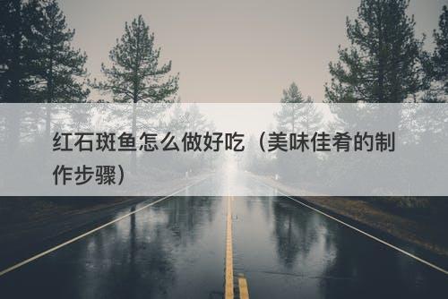 红石斑鱼怎么做好吃（美味佳肴的制作步骤）