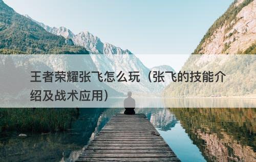 王者荣耀张飞怎么玩（张飞的技能介绍及战术应用）