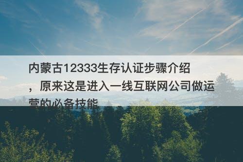 内蒙古12333生存认证步骤介绍，原来这是进入一线互联网公司做运营的必备技能
