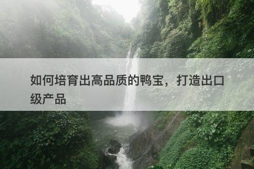 如何培育出高品质的鸭宝，打造出口级产品