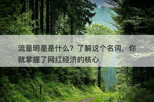 流量明星是什么？了解这个名词，你就掌握了网红经济的核心