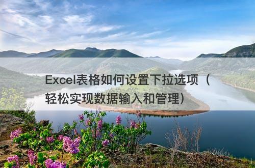 Excel表格如何设置下拉选项（轻松实现数据输入和管理）