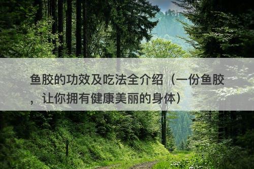 鱼胶的功效及吃法全介绍（一份鱼胶，让你拥有健康美丽的身体）