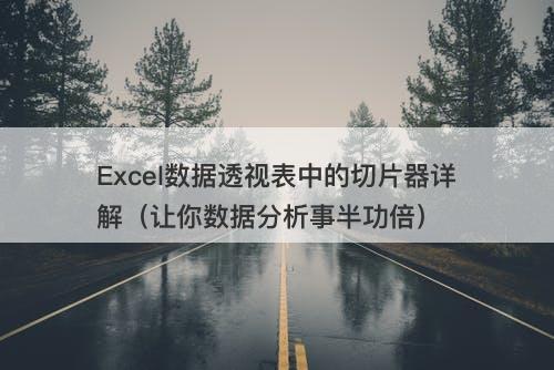 Excel数据透视表中的切片器详解（让你数据分析事半功倍）