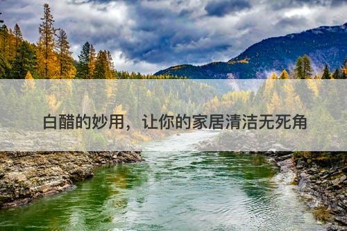 白醋的妙用，让你的家居清洁无死角