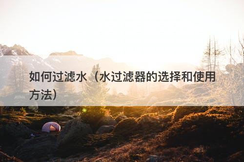 如何过滤水（水过滤器的选择和使用方法）