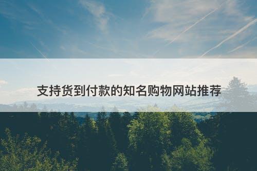 支持货到付款的知名购物网站推荐