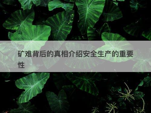 矿难背后的真相介绍安全生产的重要性