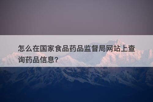 怎么在国家食品药品监督局网站上查询药品信息？