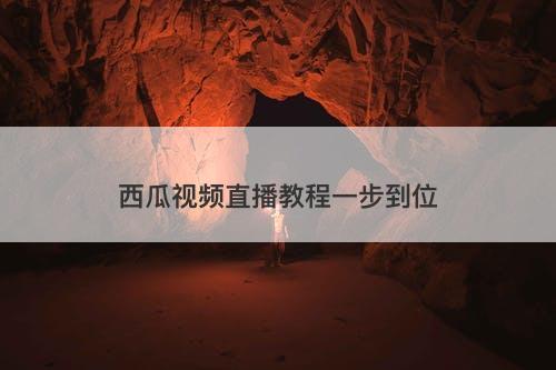 西瓜视频直播教程一步到位