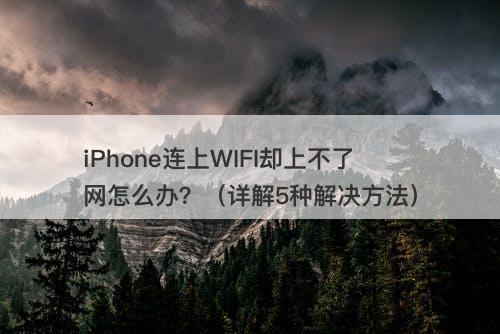 iPhone连上WIFI却上不了网怎么办？（详解5种解决方法）