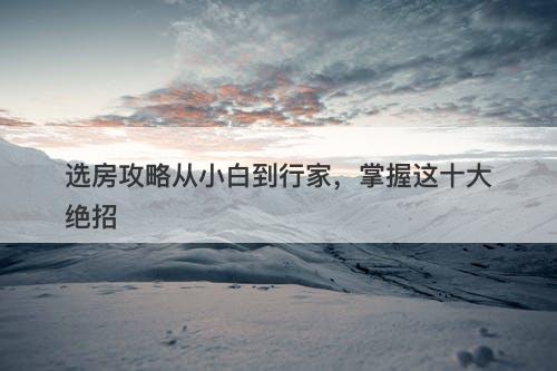选房攻略从小白到行家，掌握这十大绝招