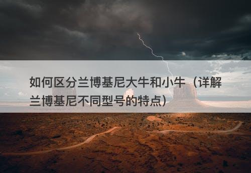 如何区分兰博基尼大牛和小牛（详解兰博基尼不同型号的特点）